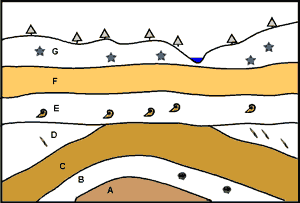 Fossil Stratigraphy Activity