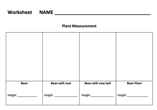 A diagram of a plant measurement

Description automatically generated