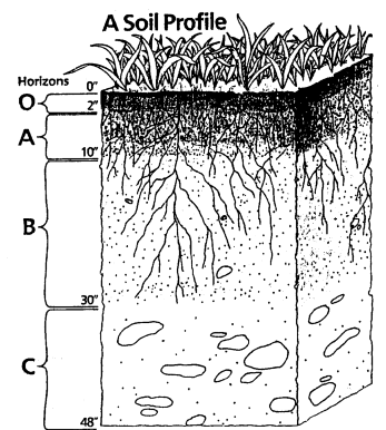 Soil Profile Stock Illustrations  386 Soil Profile Stock Illustrations  Vectors  Clipart  Dreamstime