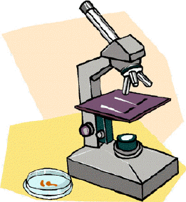 Analyzing the Focal Distances in Microscopes