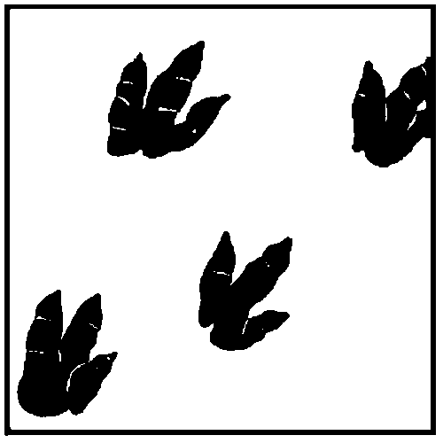 clipart dinosaur footprint - photo #35