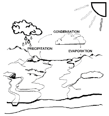 How to draw Water Cycle drawing for School Project ( very easy ) step by...  | Cycle drawing, Water cycle, Water cycle for kids