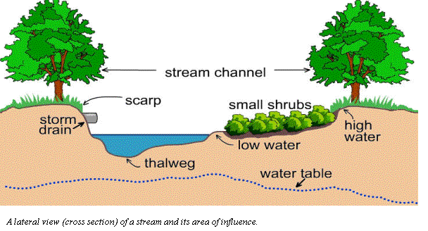 WHAT IS WETLAND RESTORATION